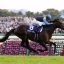 天皇賞・秋(Ｇ１)｜重賞データ/単勝オッズ・枠順・ローテーション傾向分析【東京芝2000m】