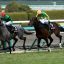 【スワンステークス 2016】サトノアラジンの冠名の勢いに注目!オススメ馬を事前予想!! 【スワンステークス 2016】サトノアラジンの冠名の勢いに注目!オススメ馬を事前予想!!