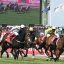 【ブリーダーズカップ フィリー＆メアターフ 2016】印付き4点予想！！【馬連/3連複】