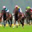 デイリー杯２歳ステークス(Ｇ２)｜重賞データ/単勝オッズ・枠順・ローテーション傾向分析【京都芝1600m外】