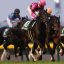 東京スポーツ杯２歳ステークス(Ｇ２)｜重賞データ/単勝オッズ・枠順・ローテーション傾向分析【東京芝1800m】