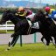 【東京スポーツ杯2歳ステークス 2016】良血馬ムーヴザワールドに注目！！オススメ馬を事前予想！！