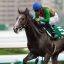 東京スポーツ杯2歳ステークス 2016｜予想｜サインは地方競馬出身の星トラスト！！
