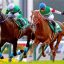 京都２歳ステークス(Ｇ３)｜重賞データ/単勝オッズ・枠順・ローテーション傾向分析【京都芝2000m】