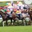 【香港カップ 2016】出走予定馬分析｜予想オッズ3.0倍台のモーリスが優勢か！？