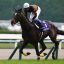 【ジャパンカップ2016】キタサンブラックが勝利!サインから振り返る 【ジャパンカップ2016】キタサンブラックが勝利!サインから振り返る