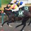 カペラステークス(G3)|重賞データ/単勝オッズ・枠順・ローテーション傾向分析【中山ダート1200m】 カペラステークス(G3)|重賞データ/単勝オッズ・枠順・ローテーション傾向分析【中山ダート1200m】