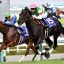 朝日杯フューチュリティステークス(Ｇ１)｜重賞データ/単勝オッズ・枠順・ローテーション傾向分析【阪神芝1600m】