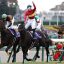 有馬記念(Ｇ１)｜重賞データ/単勝オッズ・枠順・ローテーション傾向分析【中山芝2500m】