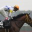 【北九州記念 2015】ビッグアーサー6連勝なるか？武豊騎乗ベルカントと激突！
