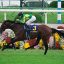 1995年牡馬3冠との類似サインから、菊花賞・有馬記念を勝利したサトノダイヤモンド