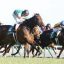 【愛知杯2017】秋華賞トライアル勝馬から連対馬を見つけるサイン予想