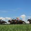 【アメリカジョッキークラブカップ・東海ステークス2017】年初から継続中！！夏競馬勝馬が発するサイン予想