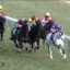 【東京新聞杯 2017】新聞杯が付くレースは、サイン予想から〇枠を狙え！！
