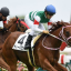 【競馬談義】キャロットクラブに入会者が続出！！【No.26】