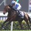 【高松宮記念 2017】【競馬談義】今年の高松宮記念は大激戦必至!!【No.27】 【高松宮記念 2017】【競馬談義】今年の高松宮記念は大激戦必至!!【No.27】