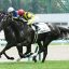 【競馬談義】牝馬クラシック番付表！！【No.29】