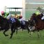 【競馬談義】牡馬クラシック番付表!!【No.30】 【競馬談義】牡馬クラシック番付表!!【No.30】