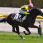 【安田記念2017】マイラーズカップ勝馬が示すサイン予想！！