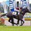 【クイーンステークス 2017】【アイビスサマーダッシュ 2017】本命馬予想｜予想オッズ3.7倍アエロリット、NHKマイルカップ覇者のプライドを見せつける！！