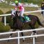 【レパードステークス 2017】【小倉記念 2017】本命馬予想｜予想オッズ7.6倍バンドワゴンが初重賞制覇に向けて視界良好！！