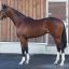 【新馬戦 2017】GⅠ馬モーリスの全弟ルーカスがハイレベルな新馬戦を制す！！