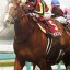 【札幌2歳ステークス 2017】回顧｜オルフェーヴル産駒が重賞初勝利！！【競馬女子コラム】