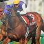 【新馬戦 2017】ダイワスカーレットの娘ダイワメモリーが初勝利！
