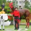 【新馬戦 2017】ダートの期待馬登場！クレヴァ―パッチ今後の活躍に期待です！！