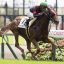 【アルゼンチン共和国杯 2017】ある馬が示すサインから連対馬を狙う！！