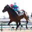 【マイルチャンピオンシップ 2017】サイン予想から狙うはあの人気薄の馬！！