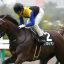 【東スポ2歳ステークス 2017】回顧|超怪物!?サイン予想からワグネリアンの今後を推測!! 【東スポ2歳ステークス 2017】回顧|超怪物!?サイン予想からワグネリアンの今後を推測!!