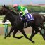 【ジャパンカップ 2017】史上5頭しかいない馬が示唆するサイン予想！！