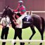 【競馬女子コラム】ある意味”悲運”のダービー馬ワンアンドオンリーが引退・・・。