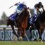 【有馬記念2017】サイン予想｜有名馬主の馬に危険信号！？