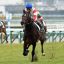 【新馬戦2017】★★★★★★☆｜皐月賞馬アルアインの全弟ダノンマジェスティが鋭い末脚でデビュー勝ち！！