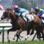 【ホープフルステークス2017】予想家5人が真剣勝負！軸馬を発表！！
