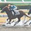 【新馬戦2018】Load to クラシック｜混戦模様を制したエイカイキングが新馬勝ち！！